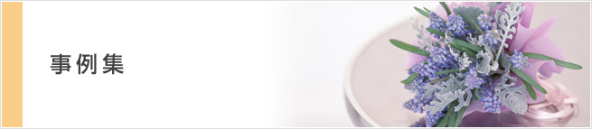 事例集